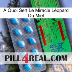 À Quoi Sert Le Miracle Léopard Du Miel new03